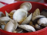 Steamed Clams with white wine and garlic butter sauce